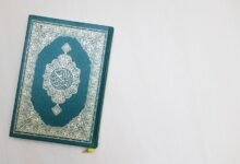 arabic login guide version 168 0 1