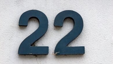 ip address format guidelines