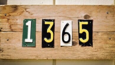 ip address location data